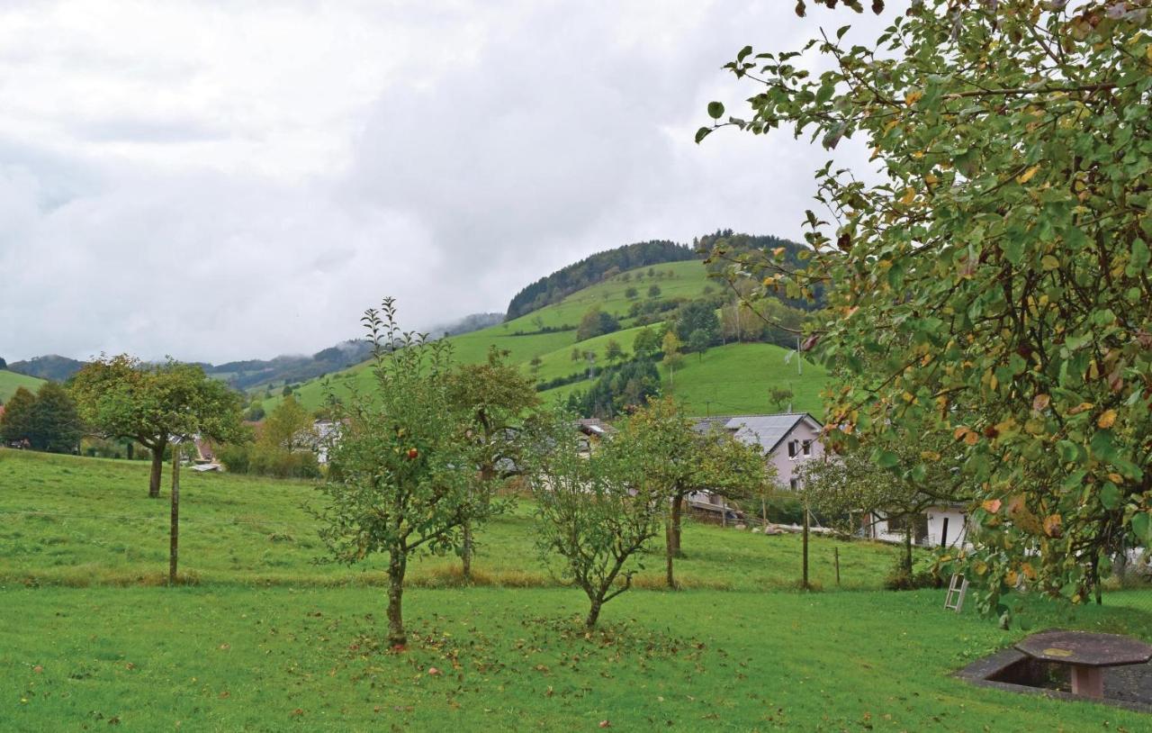 2 Bedroom Awesome Apartment In Welschensteinach Exteriör bild